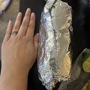 Carne Asada Burrito