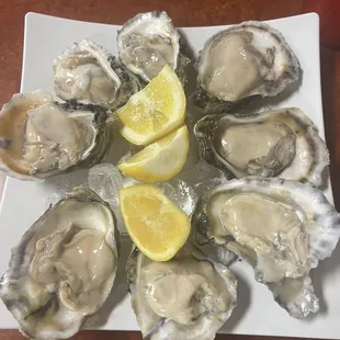 Oysters