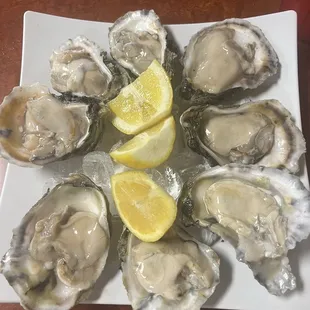 Oysters