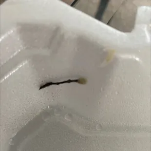 Found this in my enchilada. Don&apos;t know what that is, but the food was still delicious!