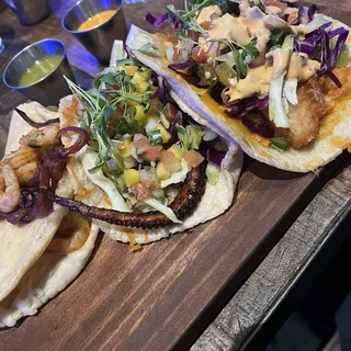 Octopus