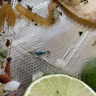 Staple found in the asada torta!
