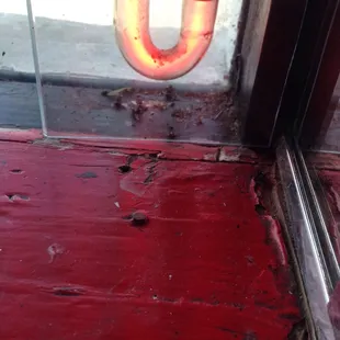 At every window... Lol sorry to ruin your appetite!