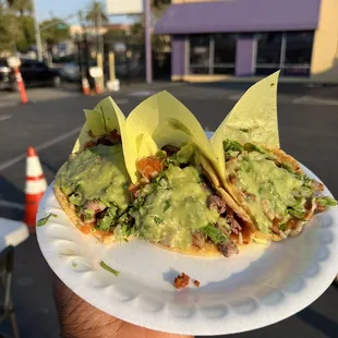 a person holding a paper plate with a taco on it
