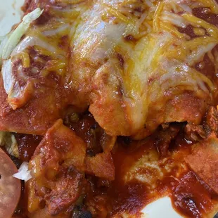 Nasty Carna Asada Enchilada