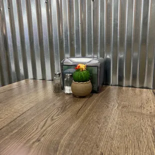 a cactus in a pot on a table