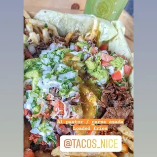 Pastor and asada fries