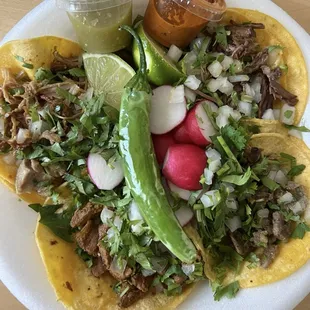 Carnitas, asada, birria and Al pastor tacos