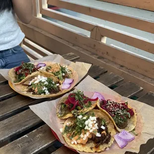 Mushroom Mole Taco
