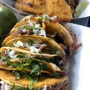 Tacos De Birria