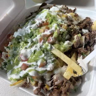 Carne Asada Fries