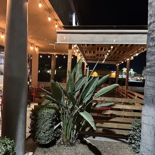 Outside