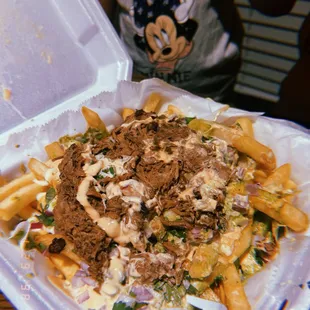 beef deluxe fries