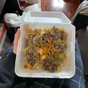 Carne asada fries