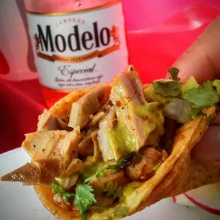 a hand holding a taco