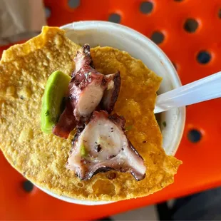 a tortilla with octopus and avocado