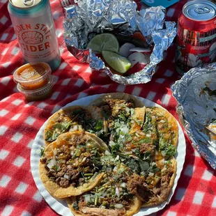 Carne asada and carnitas tacos