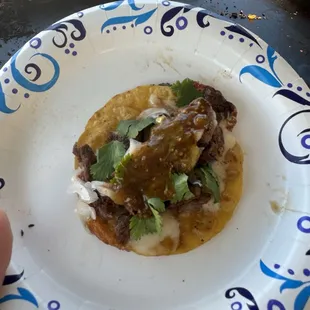 The carne asada! Very flavorful, super juicy, and the toppings were very fresh! 10/10