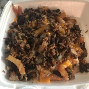 Undercooked soggy asada fries