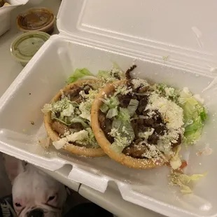 a dog looking at a taco in a styrofoam container