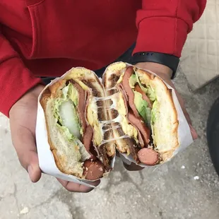 a person holding a sandwich