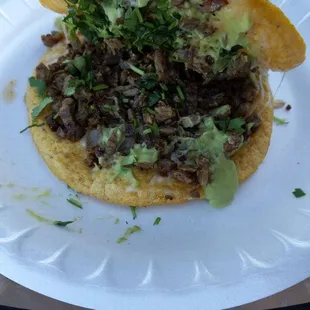 Mulita