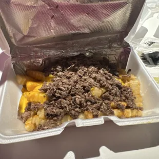 Fries with Carne asada
