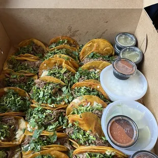 20 pack birria tacos