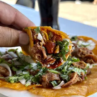 a hand holding a tortilla