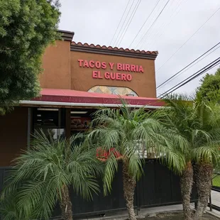 @endoedibles on Instagram 09/14/24