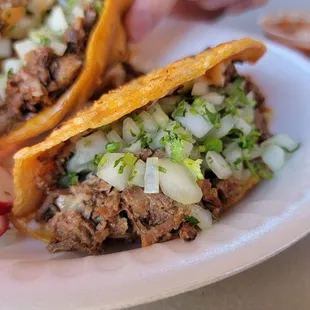 Quesa birria