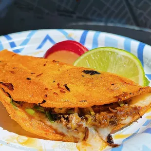 Quesa Birria Taco
