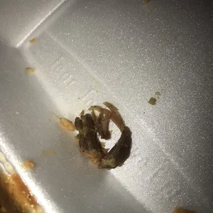 They tried to pass this off as Chicken!!!