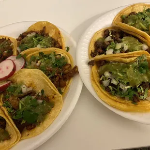 Tacos of Alpastor (left) and Asada (right) with green salsa.