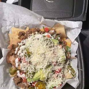 Asada nachos
