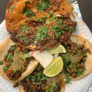 QUESO BIRRIA | AL PASTOR | CHORIZO | ASADA