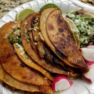 Quesa birria, barbacoa and asada tacos