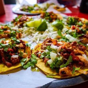 Mini Tacos Campechanos: Al pastor, chorizo and grilled chicken