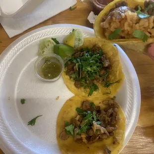 a person holding a plate of tacos