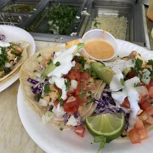 Devil fish,shrimp tacos
