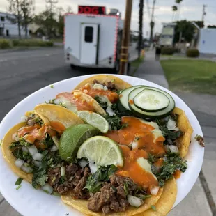 a person holding a plate of tacos