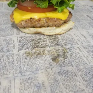 Turkey Burger (food truck)