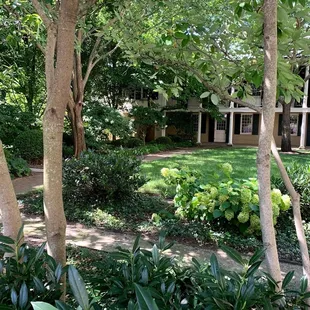 the front yard of the house