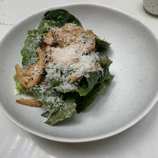 Chicken Caesar Salad
