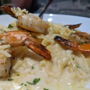 Fettuccine alfredo with grilled shrimp delicious flavor