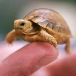 Bobbi O.