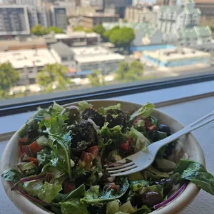 Greek Salad w/ falafel