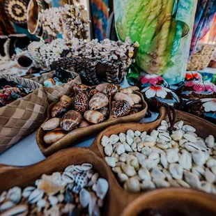 Tahitian Treasures shells