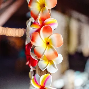 Tahitian Treasures foam plumeria flowers