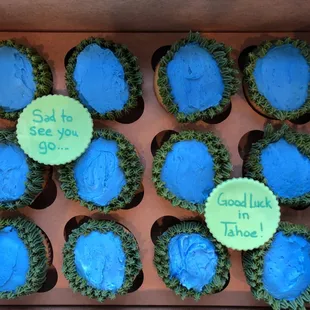 Lake Tahoe cupcakes